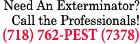 Need An Exterminator? Call the Professionals! (718) 762 PEST (7378) 